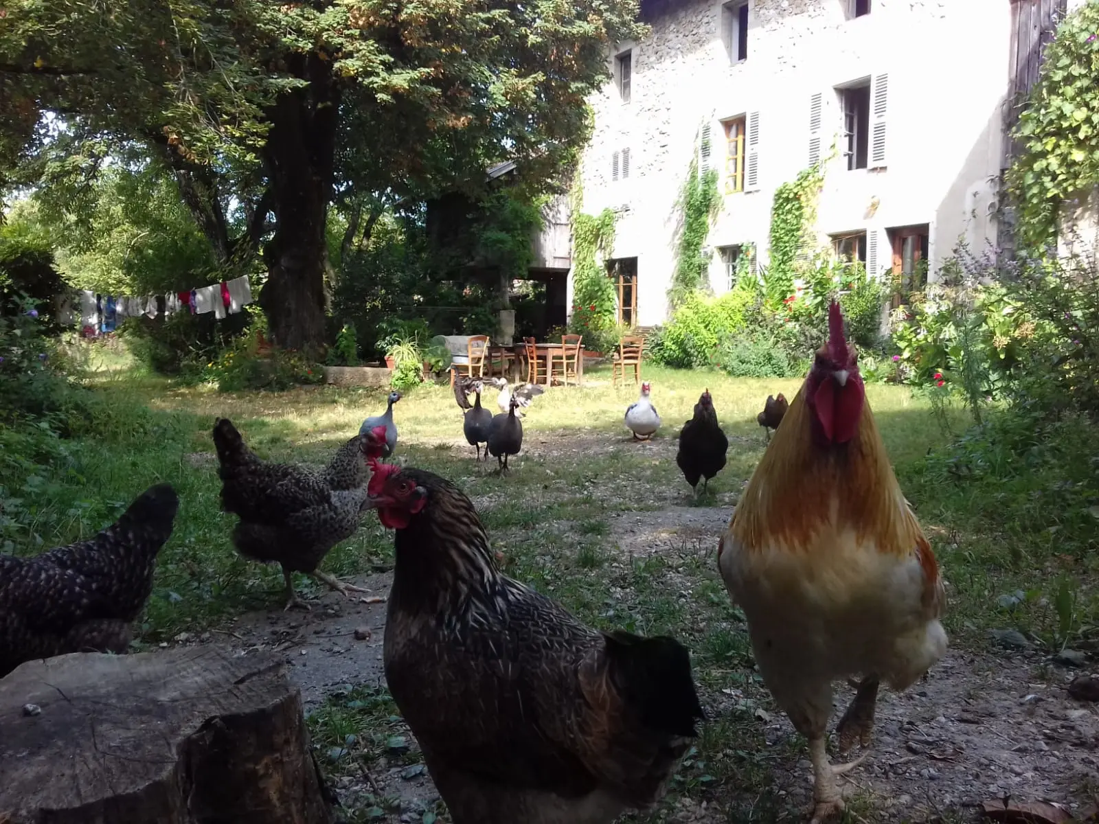 Tipi du Jardin des Bises (hébergement insolite à la ferme), Izeron