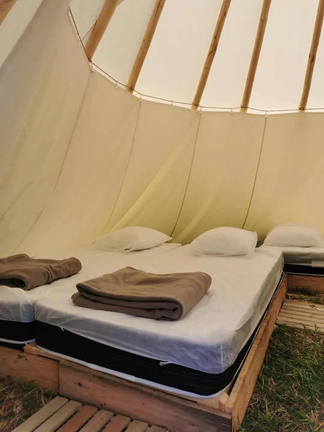 Tipi La Lyre, Casson : image 2