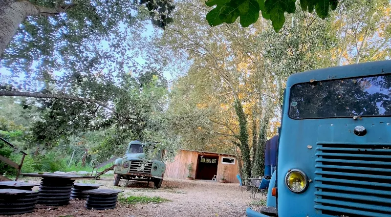 Truck-Lodge la Goélette, Saint-Andiol : image 5