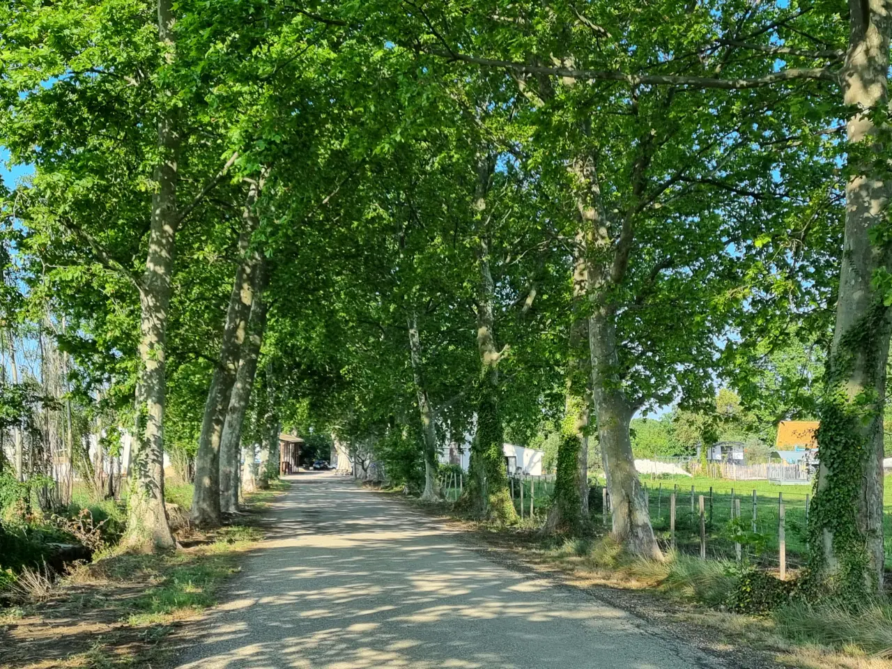 Villa Citron, Saint-Martin-de-Crau : image 5