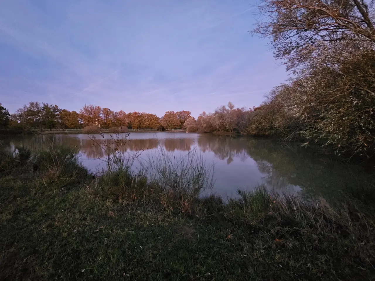 Yourte au bord de l'étang, Thaumiers : image 2