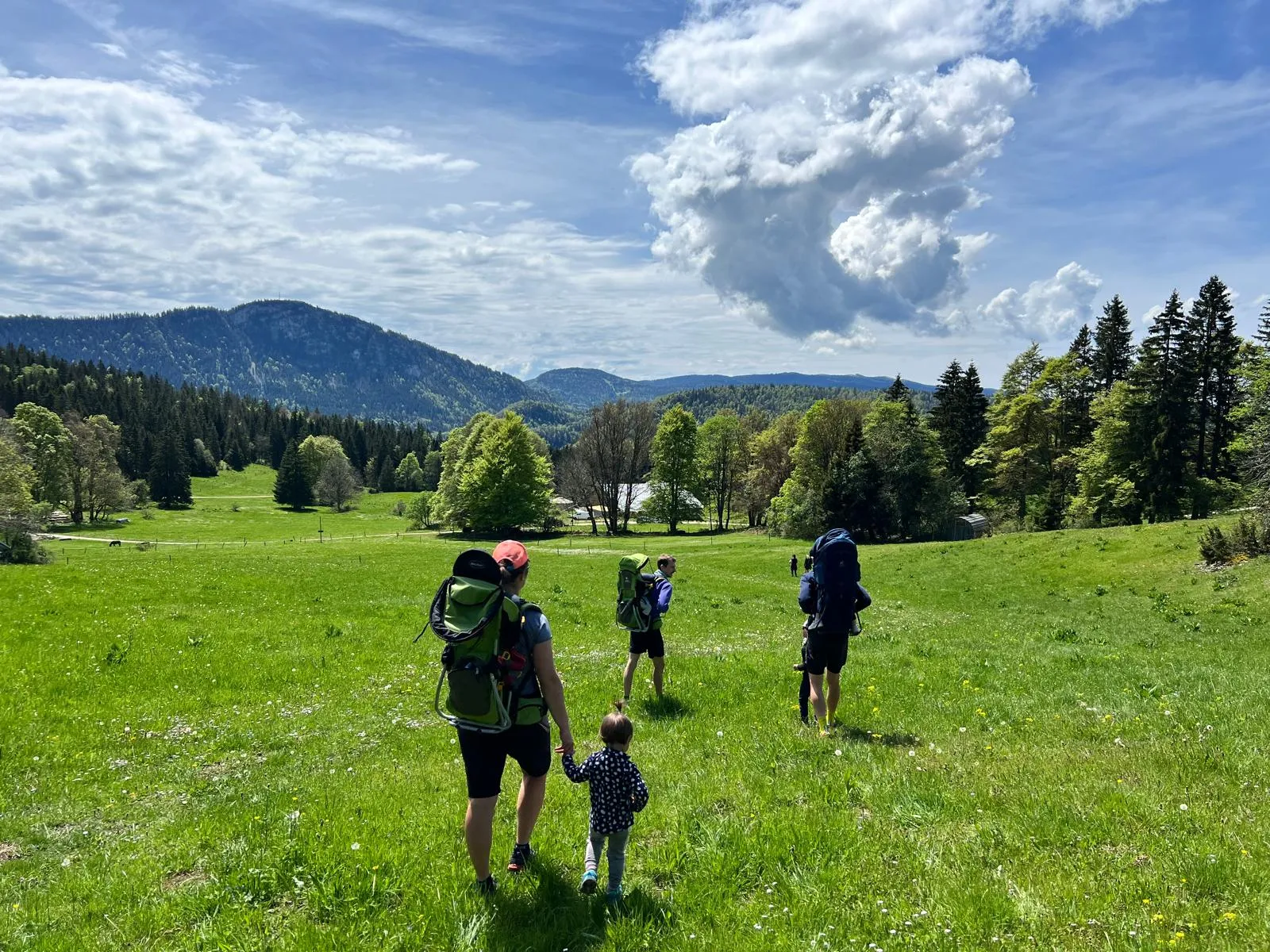 Yourte Bosquet de la Petite Échelle, Rochejean : image 4