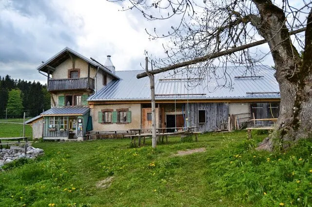 Yourte Bosquet de la Petite Échelle, Rochejean : image 5