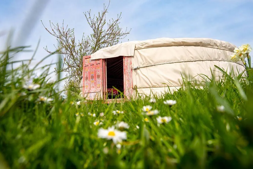 Yourte de la Ferme du Moulin de Bois (hébergement insolite à la ferme), Farbus