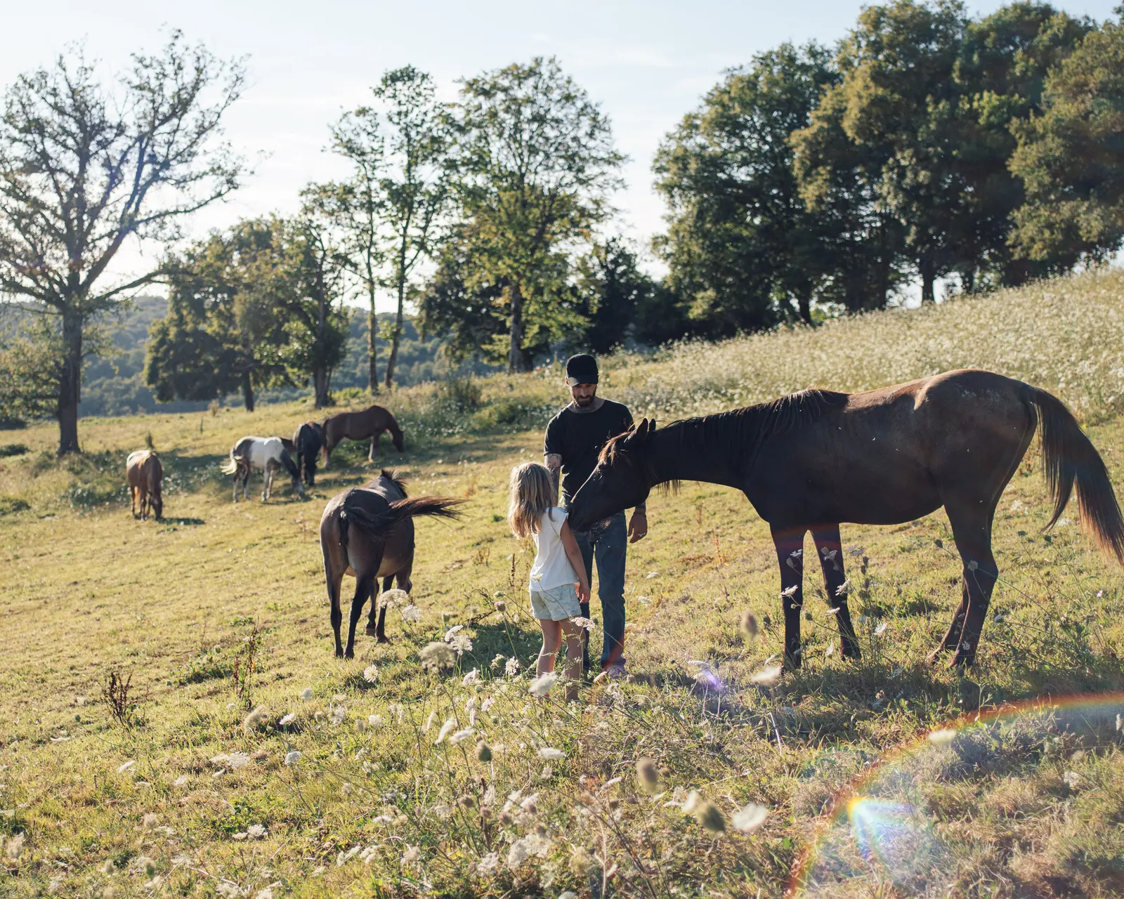 Yourte du Ranch des Mearas, Saint-Mesmin : image 5