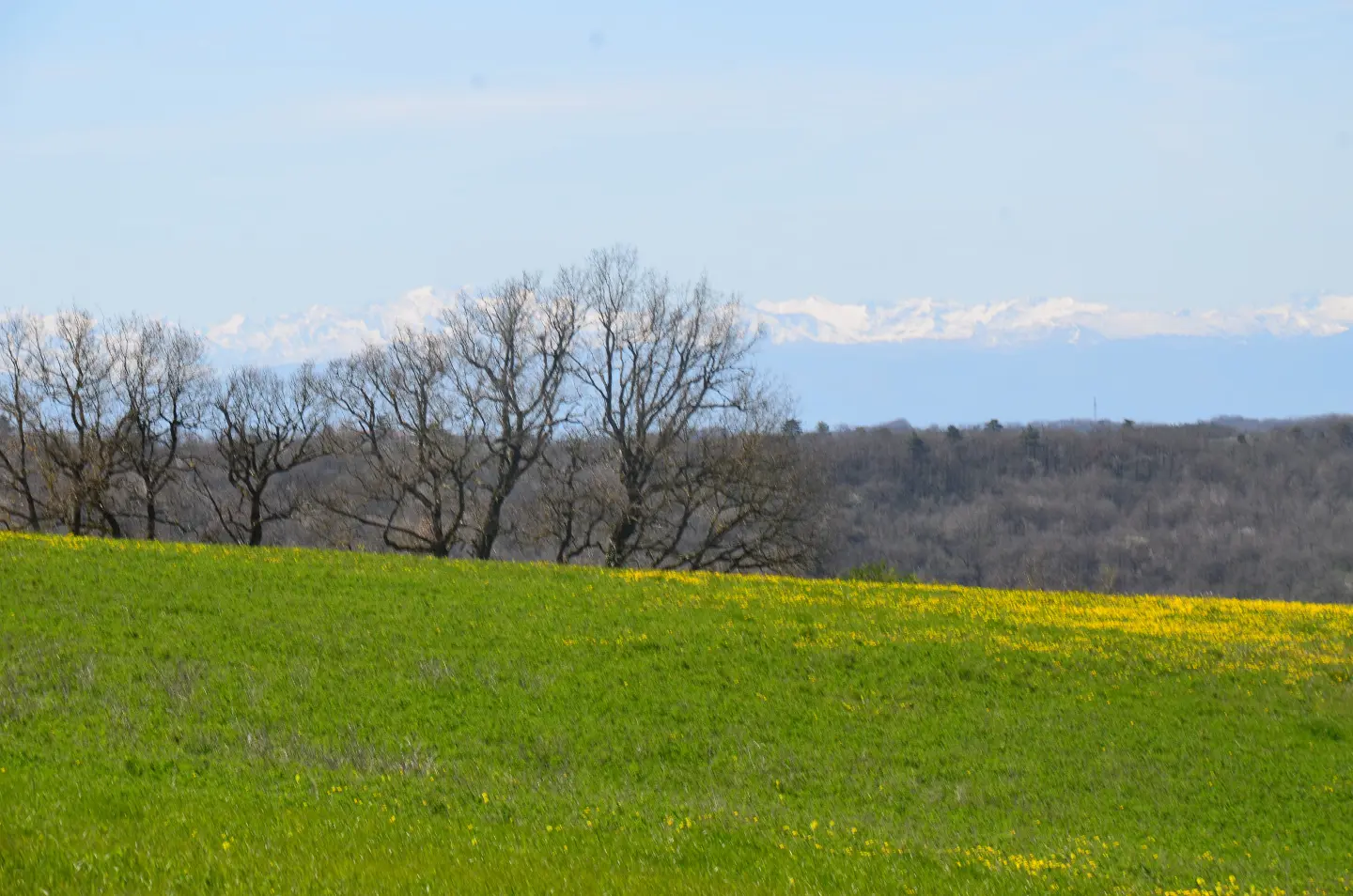 Yourte de la Piboulette, Payra-sur-l'Hers : image 3