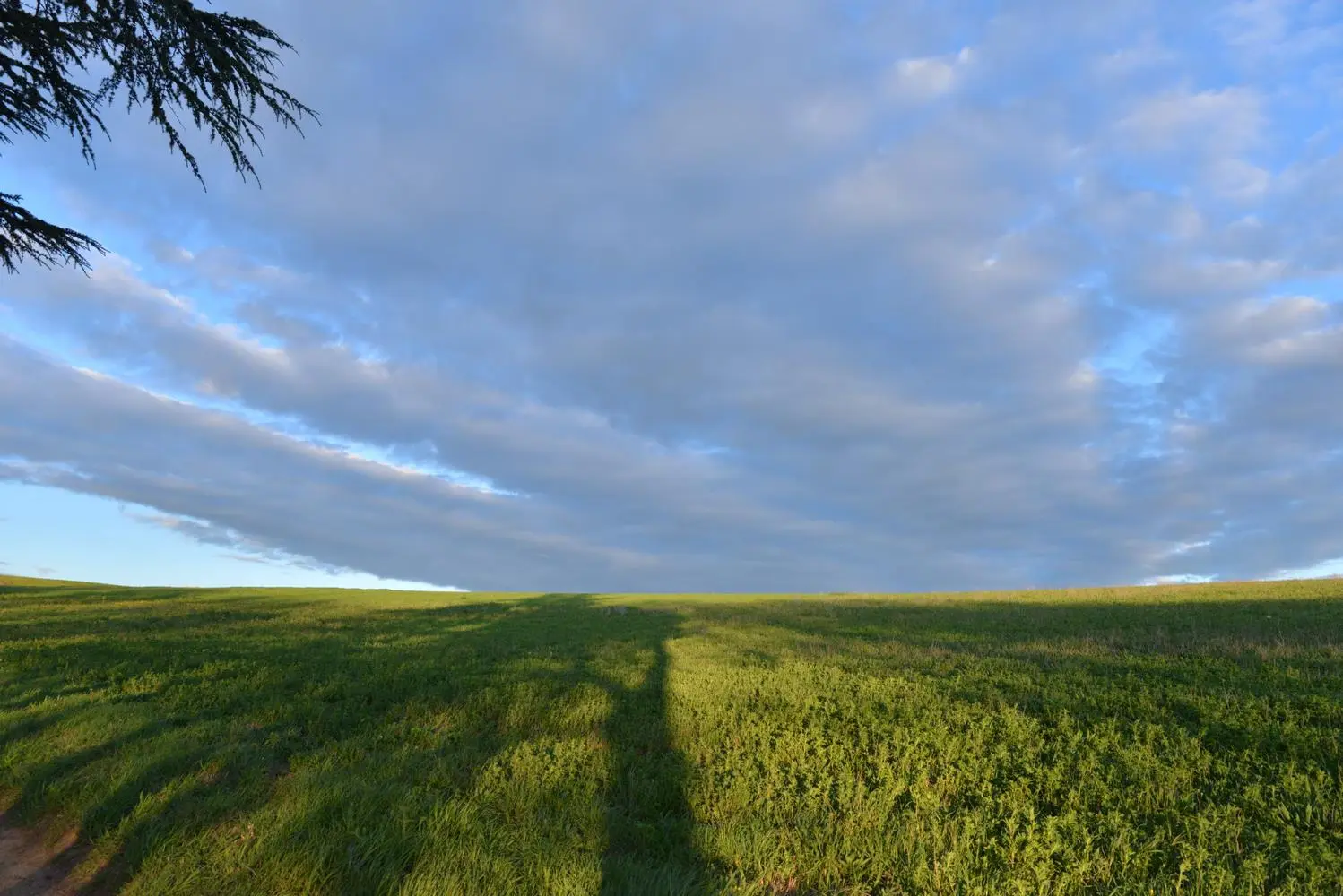 Yourte de la Piboulette, Payra-sur-l'Hers : image 5
