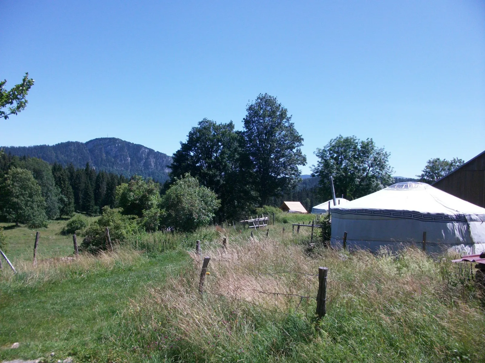 Yourte Vaulion de la Petite Échelle (hébergement insolite à la ferme), Rochejean